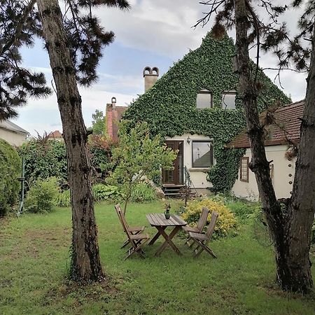 Gartenapartment Storchenblick Weiden am See Zewnętrze zdjęcie