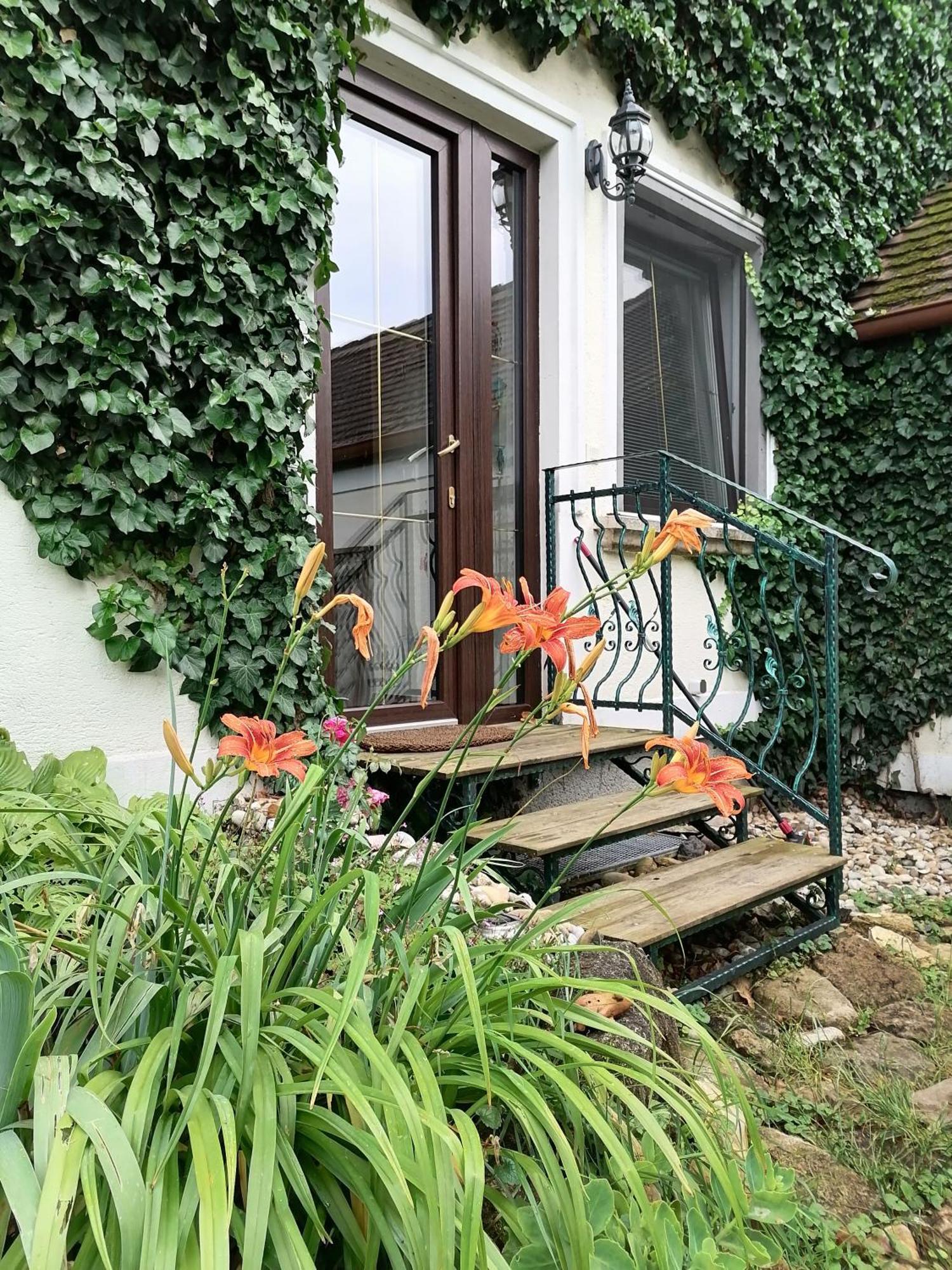Gartenapartment Storchenblick Weiden am See Zewnętrze zdjęcie