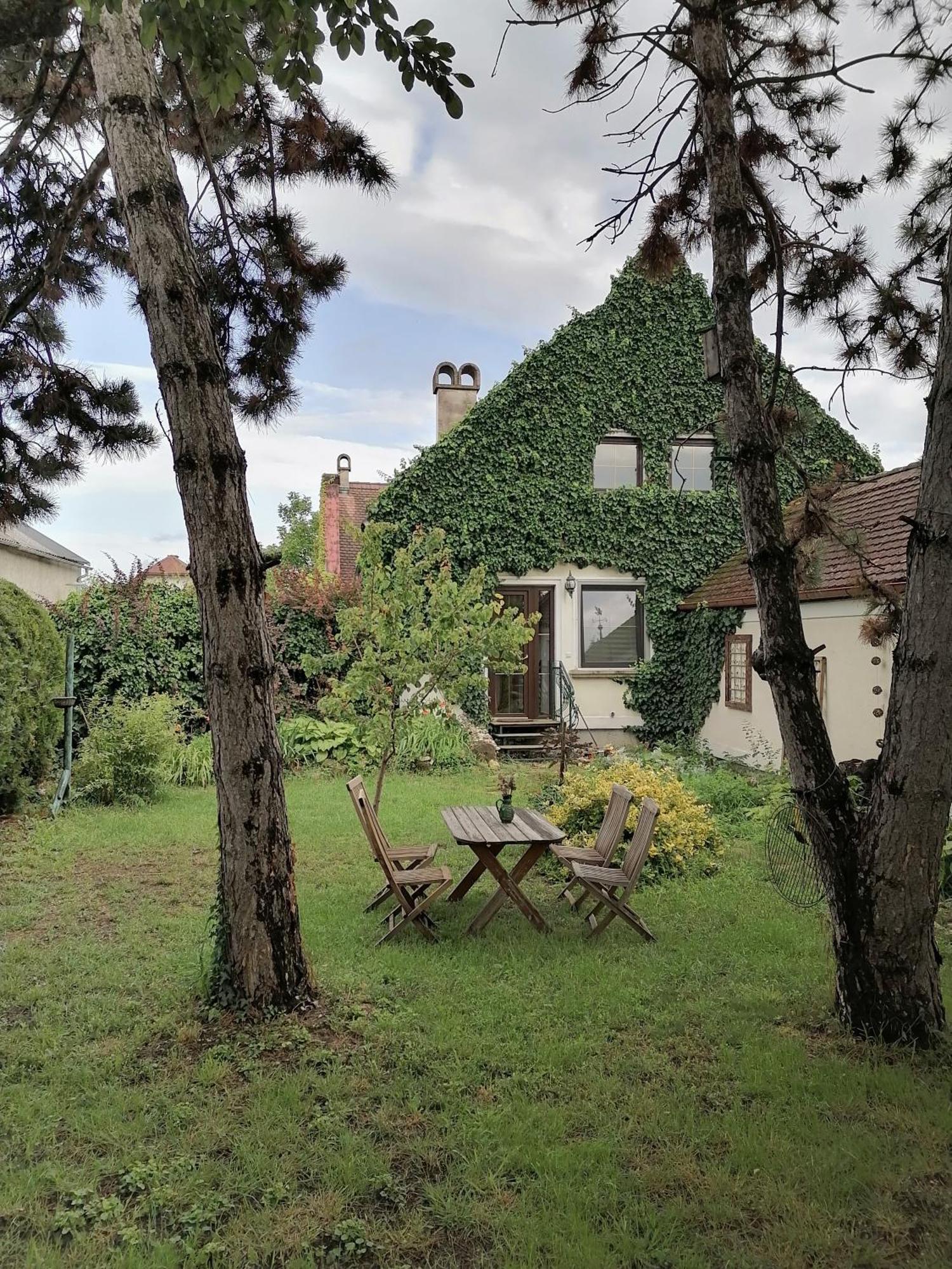 Gartenapartment Storchenblick Weiden am See Zewnętrze zdjęcie